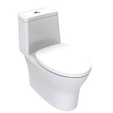 Plumbzo White Ceramic One Piece Toilet – Indian Homes